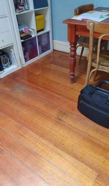 Study timber floor dried and restored — real drySafe job