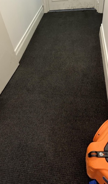Charcoal carpet dried after water extraction — real drySafe job