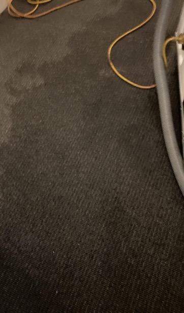 Water-damaged charcoal carpet before extraction — real drySafe job